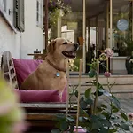 Szálloda Berlin Tegernsee