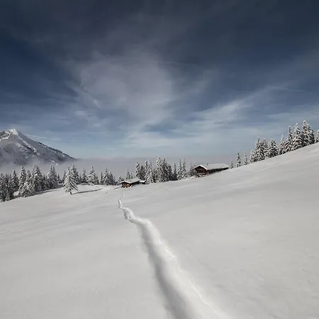 Hotel Berlin Tegernsee 3*