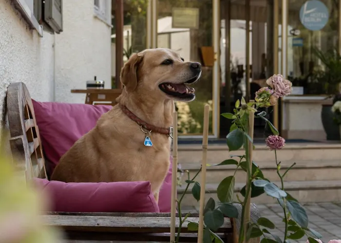 מלון Berlin Tegernsee