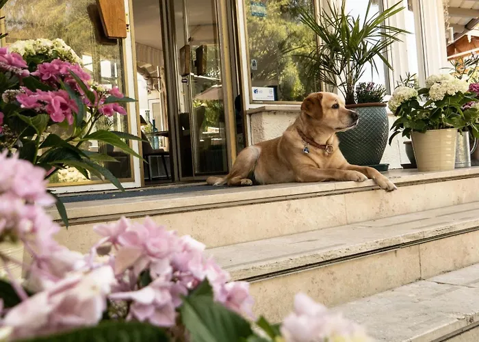 Berlin Tegernsee מלון 3*