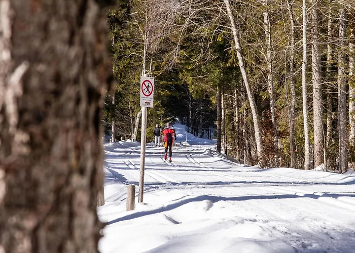 מלון Berlin Tegernsee