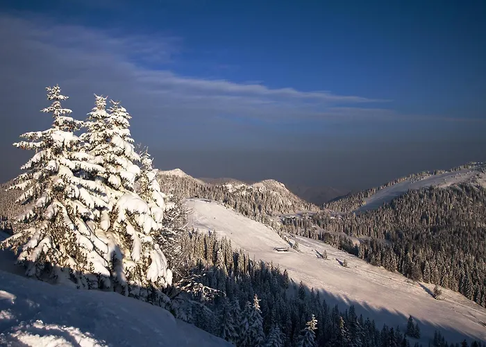 Berlin Tegernsee Rotta